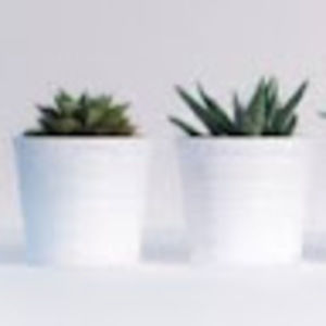 Meet your Posher, Catherine